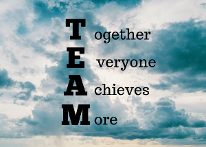 TEAM — Together Everyone Achieves More